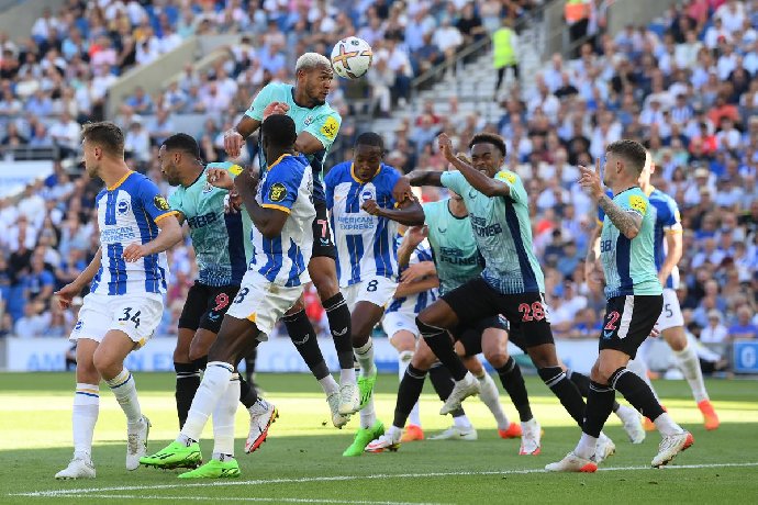 Nhận định Newcastle vs Brighton, 21h00 ngày 11/5 Nhận định Newcastle vs Brighton, 21h00 ngày 11/5